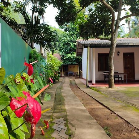 Hotel Ancient Tree Mirissa Exterior foto