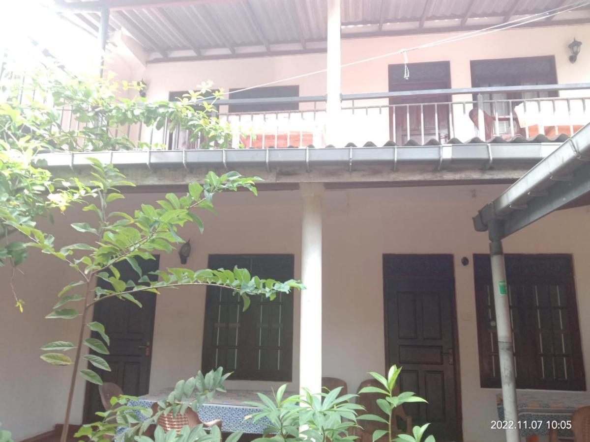 Hotel Ancient Tree Mirissa Exterior foto
